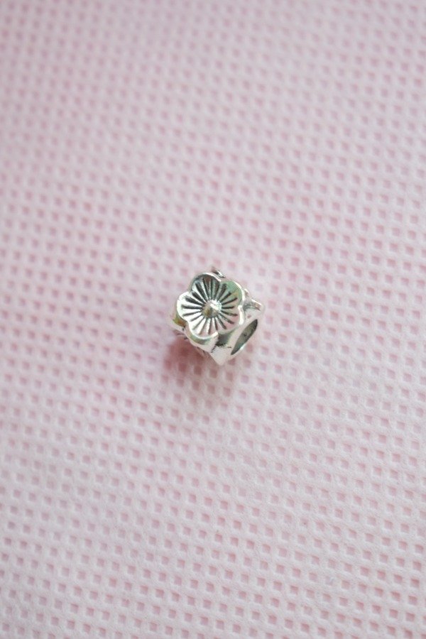 Producto - Combo de pulsera estilo pandora + un charm a elección - 3