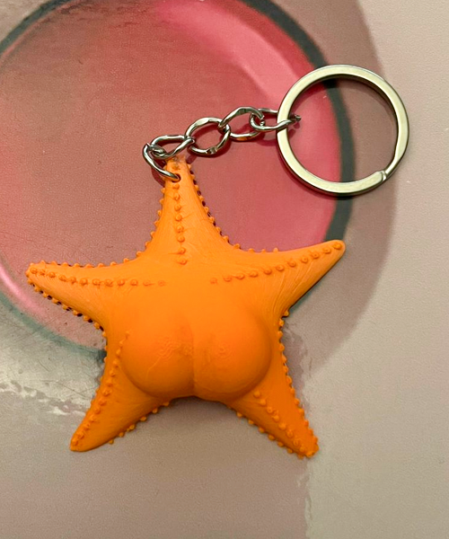 Producto - Conicet Estrella