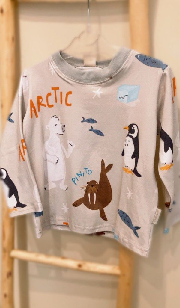 Producto - Remera Artic