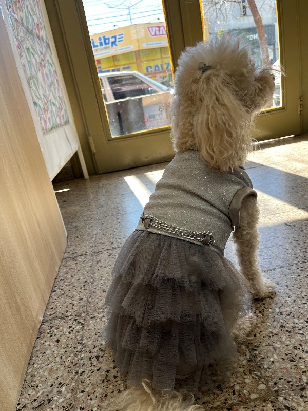 Producto - Vestido Beli - 4