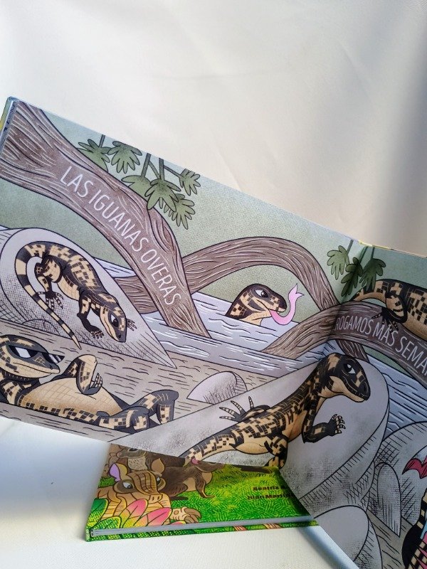 Miniatura de producto - 2