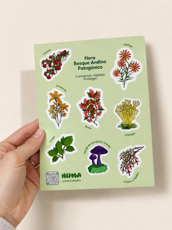 Producto - Plancha de stickers vinilo FLORES PATAGÓNICAS