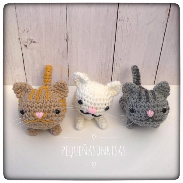 Producto - Gatos - 10