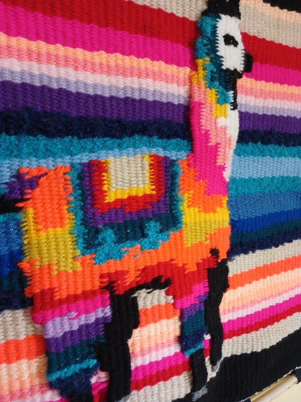 Producto - Tapiz de Pared- Llama multicolor - 3