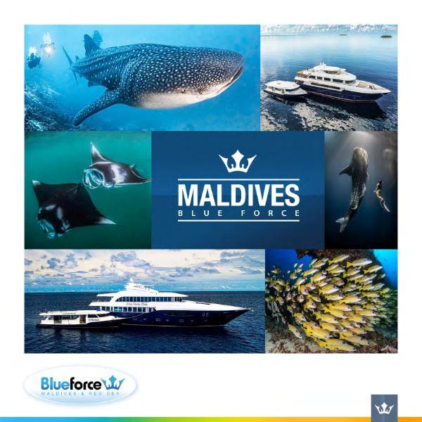 Producto - Crucero Blue Force Maldivas