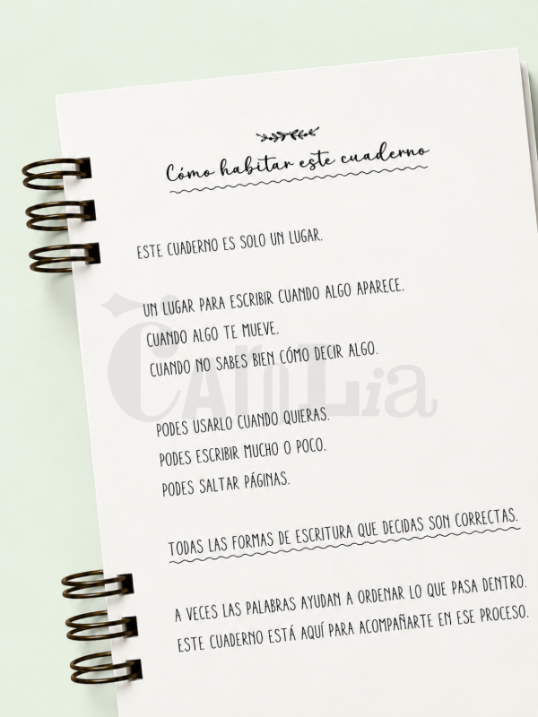 Producto - Journal Emocional - 2