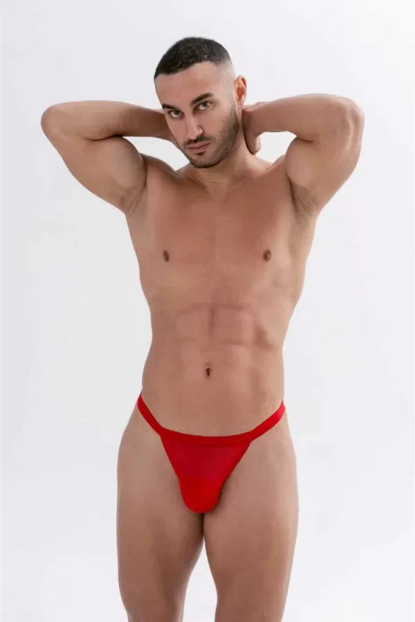 Producto - Colaless Zunga Tanga De Tul  1501 - 1