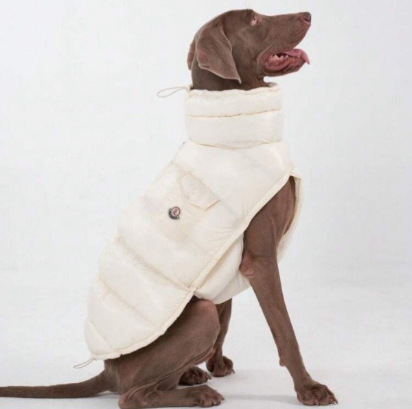 Producto - Campera de abrigo beige