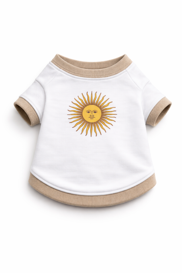 Producto - Remera sol patrio (preventa)