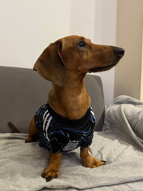 Producto - CAMISETA ALTERNATIVA ARG