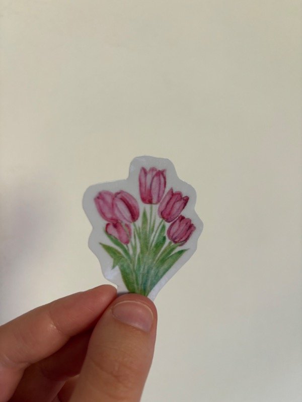 Producto - Tulipanes