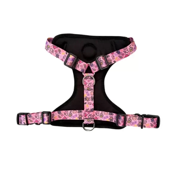 Producto - Pechera H grafitti rosa M