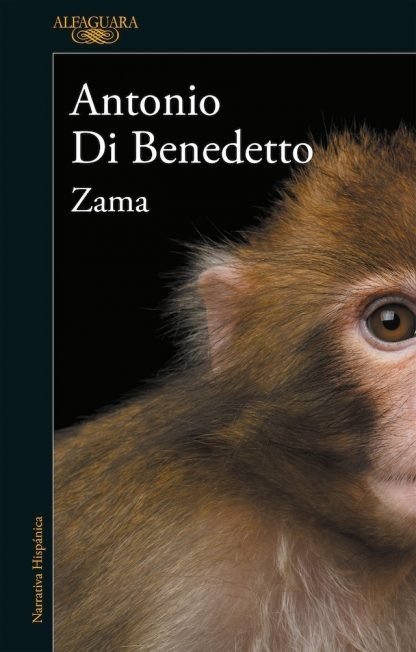 Producto - Zama - Antonio Di Benedetto