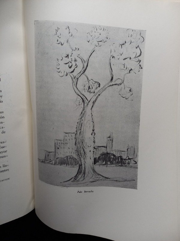Producto - El Arbol folklore y leyendas - 6