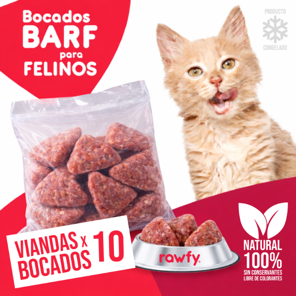Producto - Vianda Bocados B.A.R. F. para Felinos x 10 unid.