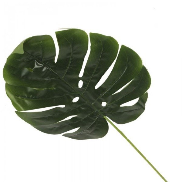 Producto - Hoja monstera