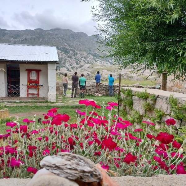 Miniatura de producto - 7