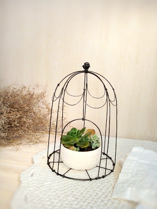 Producto - Jaula con maceta y suculentas