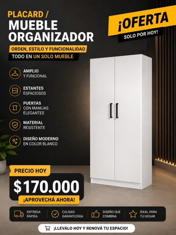 Producto - Organizador 2 puertas