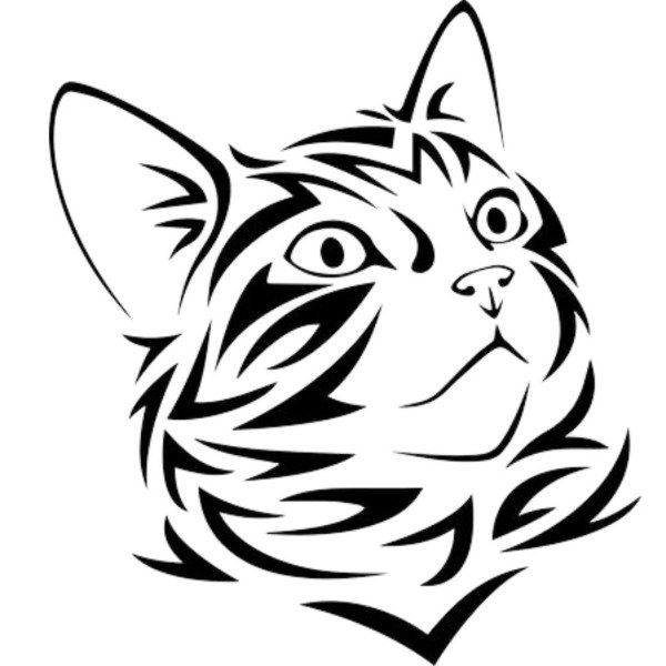 Producto - Gato