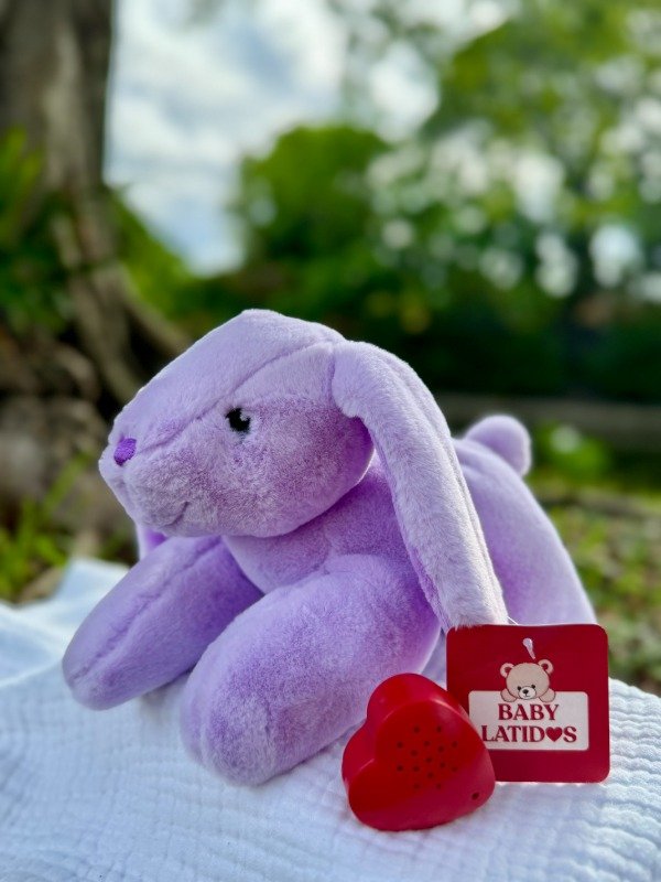 Producto - Sasha