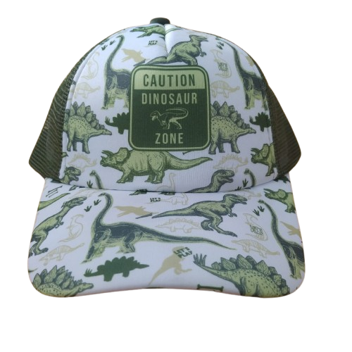 Producto - Gorra Infantil Dinosaur Zone 29933