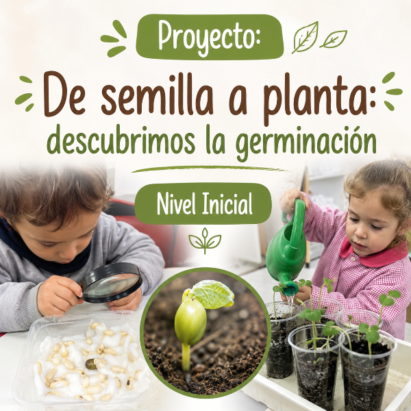 Producto - Proyecto: "De semilla a planta: descubrimos la germinación"