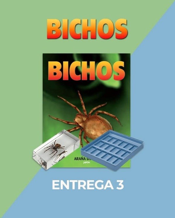 Producto - Araña Diablo , con caja contenedora