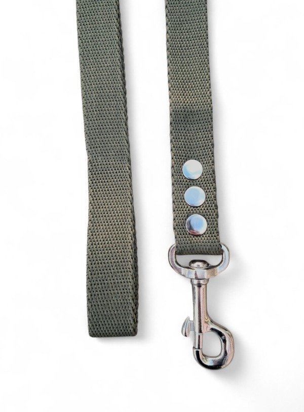 Producto - Correa Verde Musgo