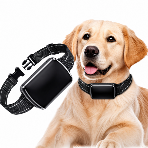 Producto - TRAKKI PET GPS Collar Localizador 4G para Perros y Gatos