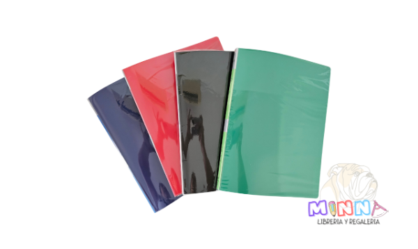 Producto - Carpeta Con 10 Folios A4