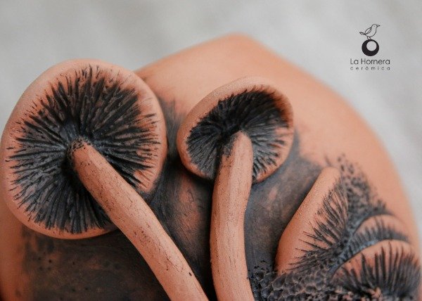 Producto - Vasija Maceta Fungi - 4