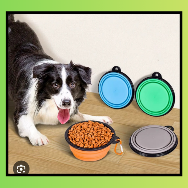 Producto - Plato portátil plegable