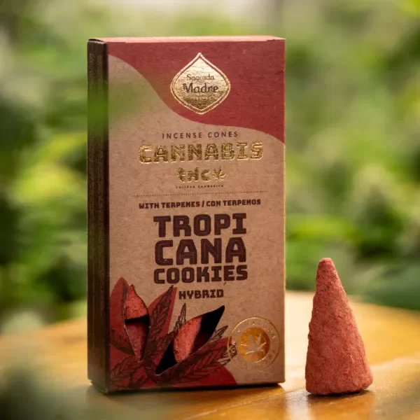 Producto - CONOS TROPICANA COOKIES