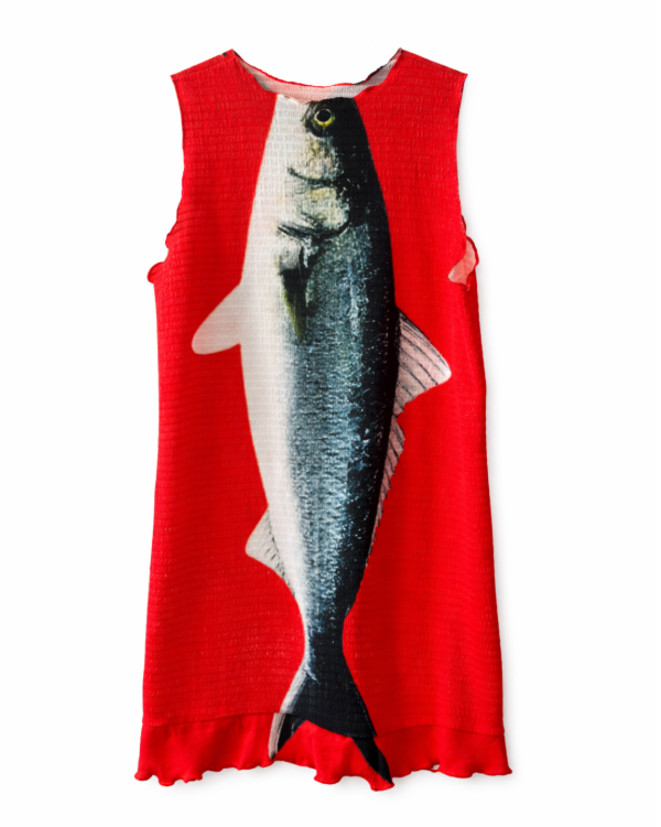 Producto - Vestido peixe