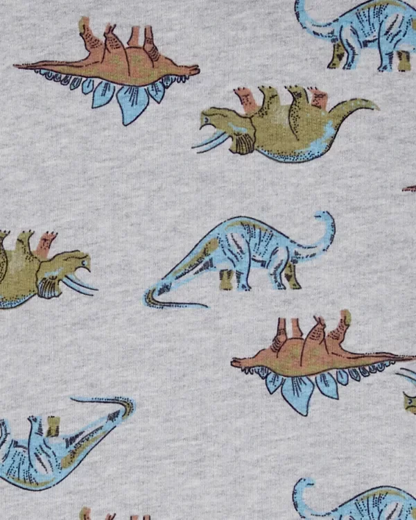 Producto - Conjunto Carter's dinosaurios rústico - 1