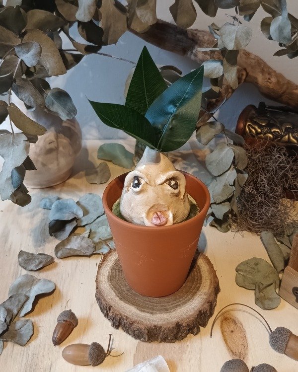 Producto - Mandrágora VI