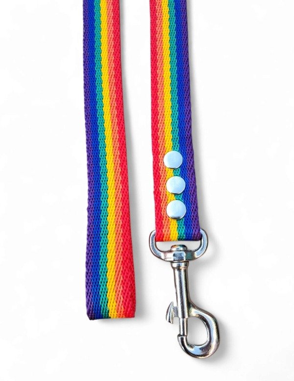 Producto - Correa Rainbow