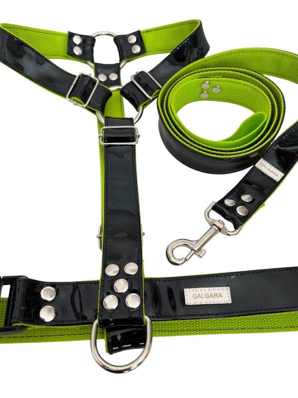 Producto - Pretal H charol negro