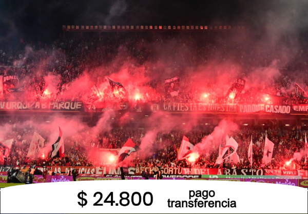 Producto - Rompecabezas 48 piezas - Newell's - Bengalas Platea