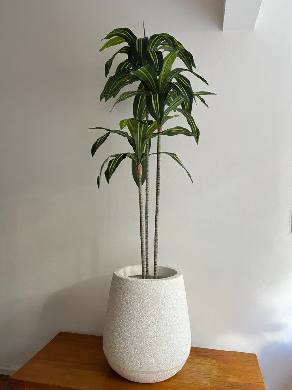 Producto - Palo de Agua Sin Riego 160cm