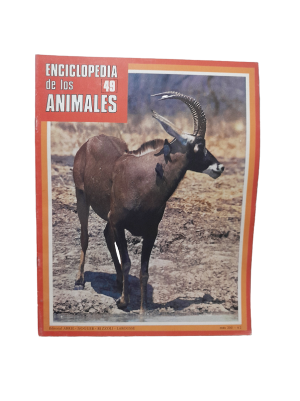 Producto - Enciclopedia De Los Animales Fasciculo Numero 49