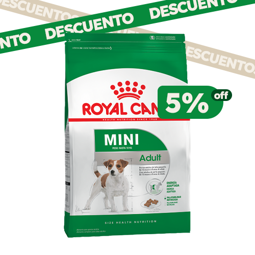 Producto - Royal Canin Mini Adult