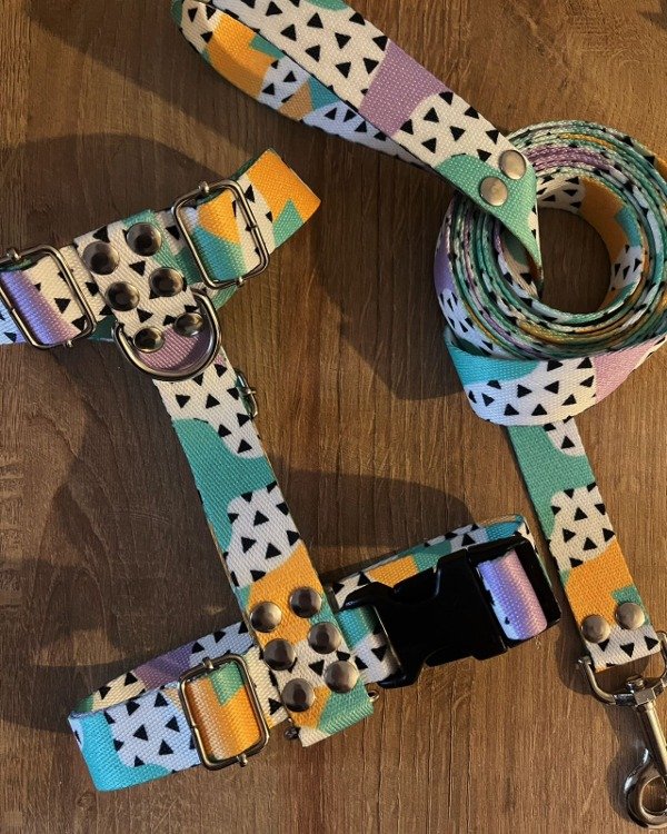 Producto - Pretal y correa PIÑATA