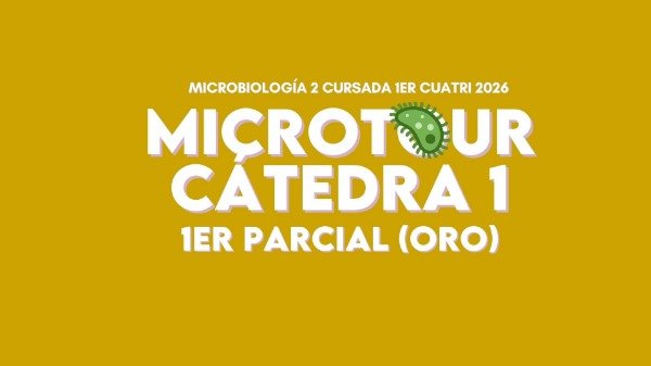 Producto - MICRO 2 CÁTEDRA 1 ORO (1er parcial)
