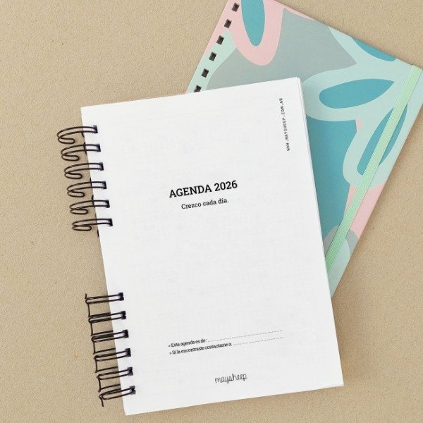 Producto - Repuesto Agenda Estudiantil 2026