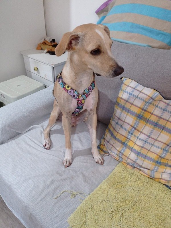 Miniatura de producto - 5