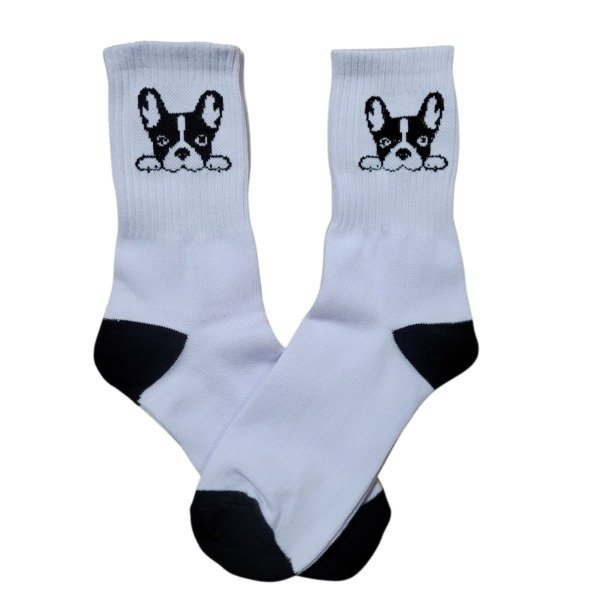 Producto - Perrito asomado