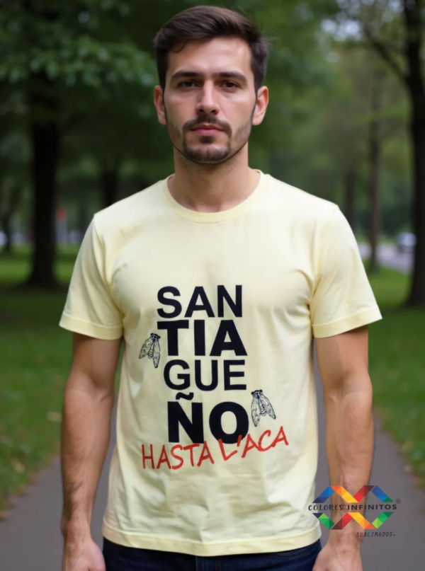 Producto - REMERA - SANTIAGUEÑAS - POLIESTER TALLE L - 1