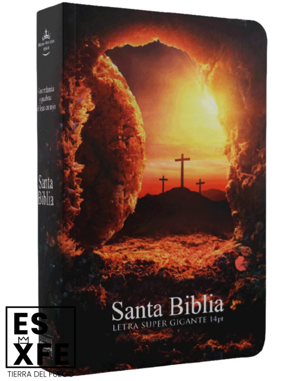 Producto - Biblia Reina Valera 1960 Letra Gigante Piedra Removida - Tapa Rústica